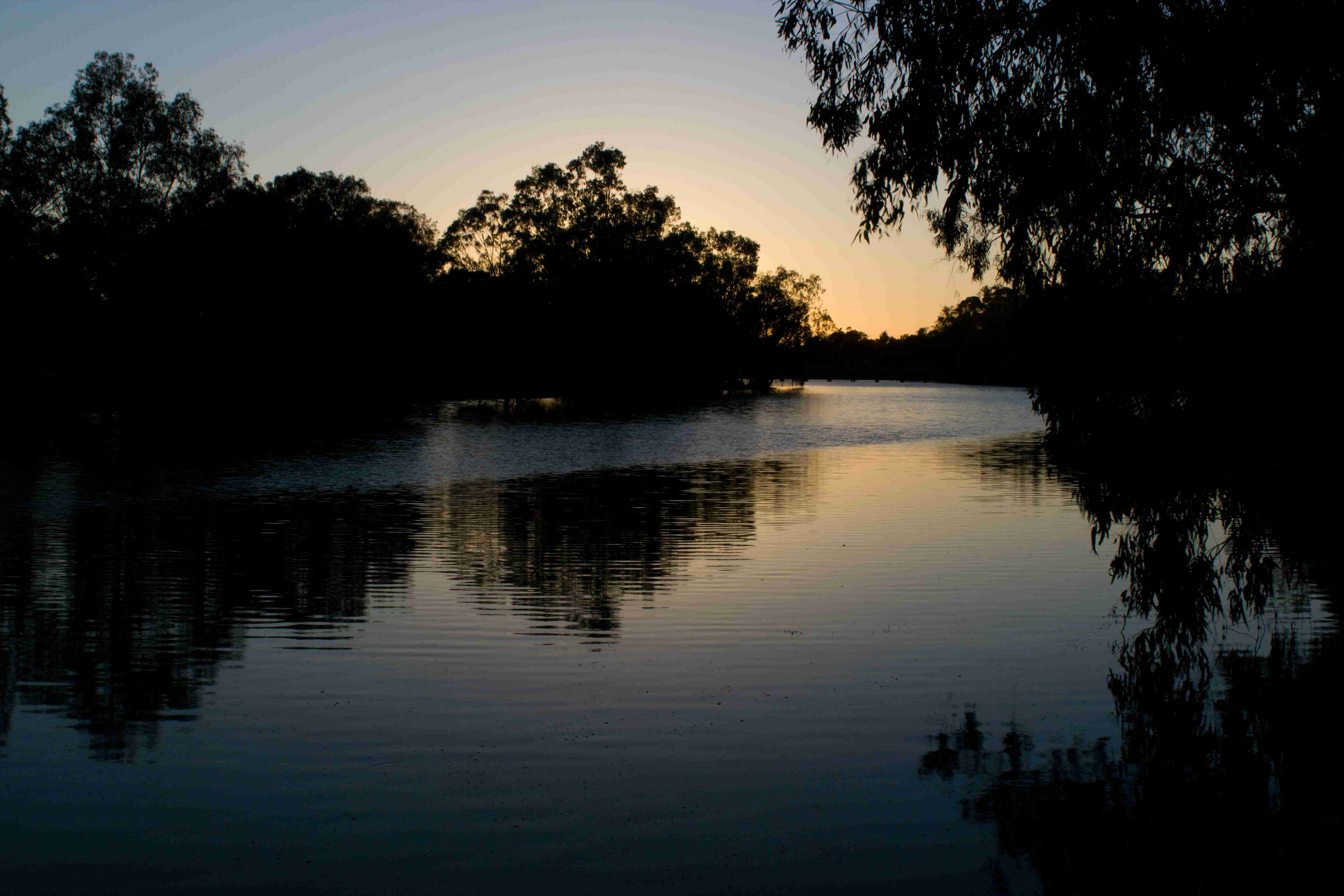 Lachlan River, Forbes, NSW