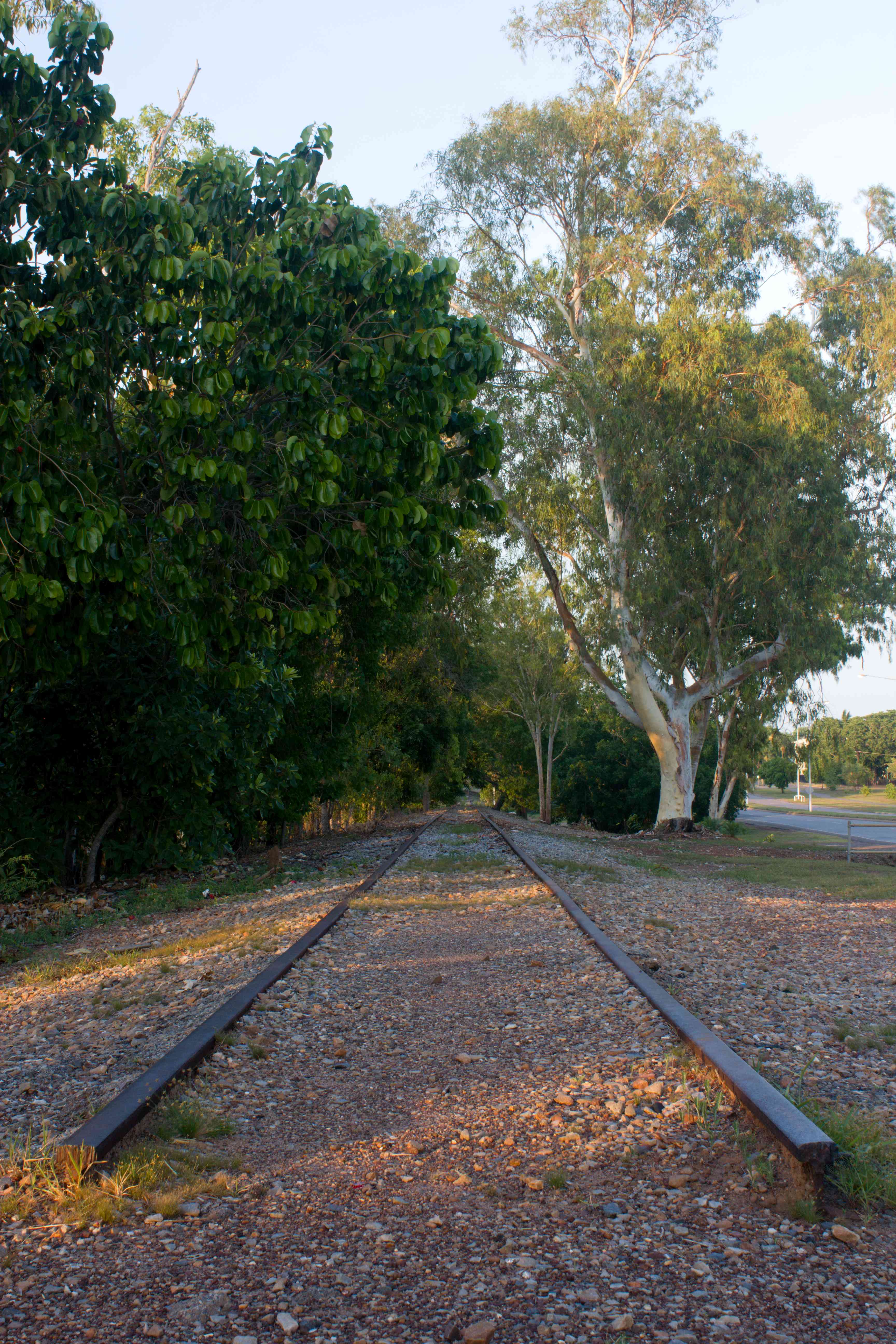 North Australia Railway