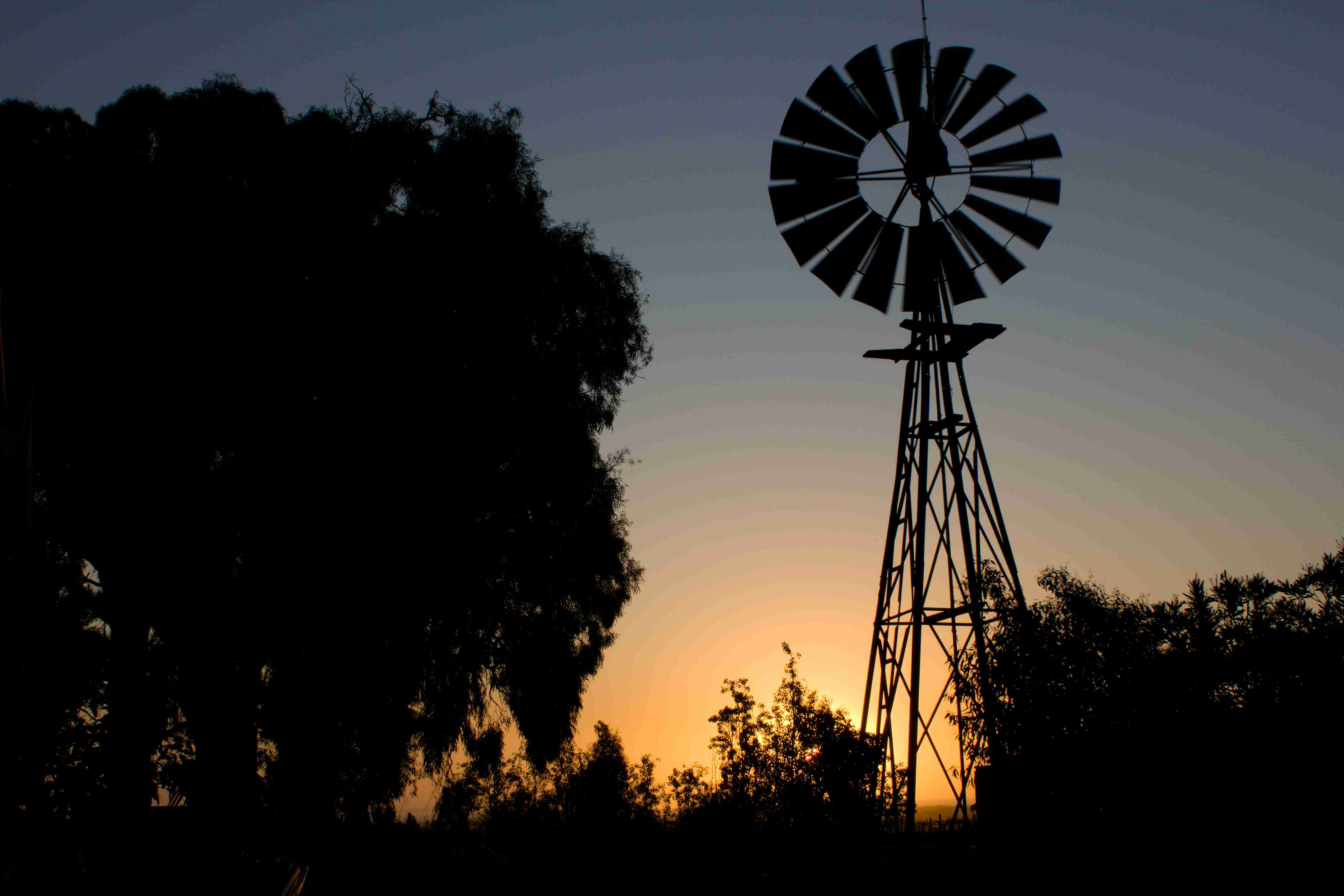 Willunga, SA
