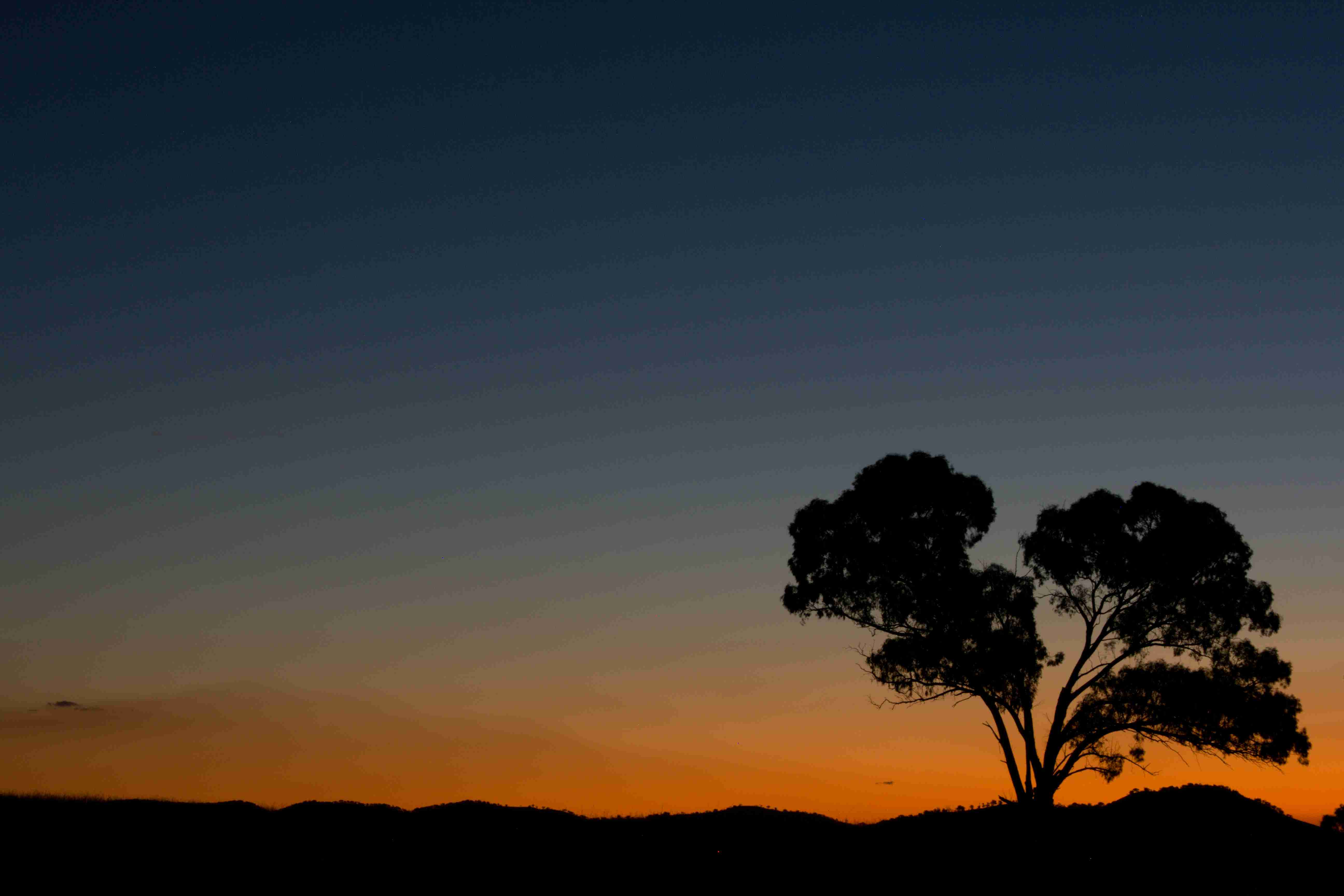 Gulgong, NSW