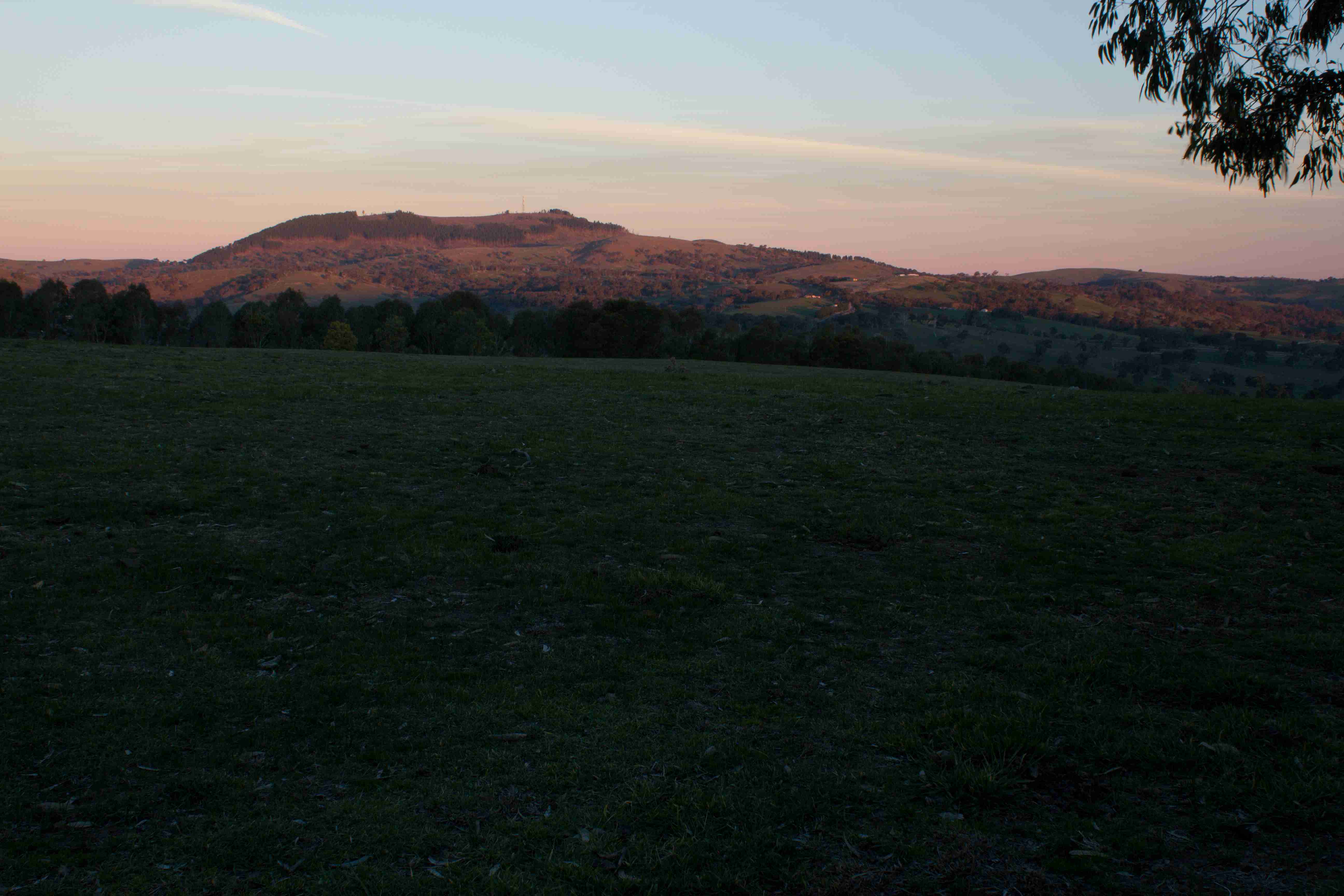Mount Canobolas, NSW
