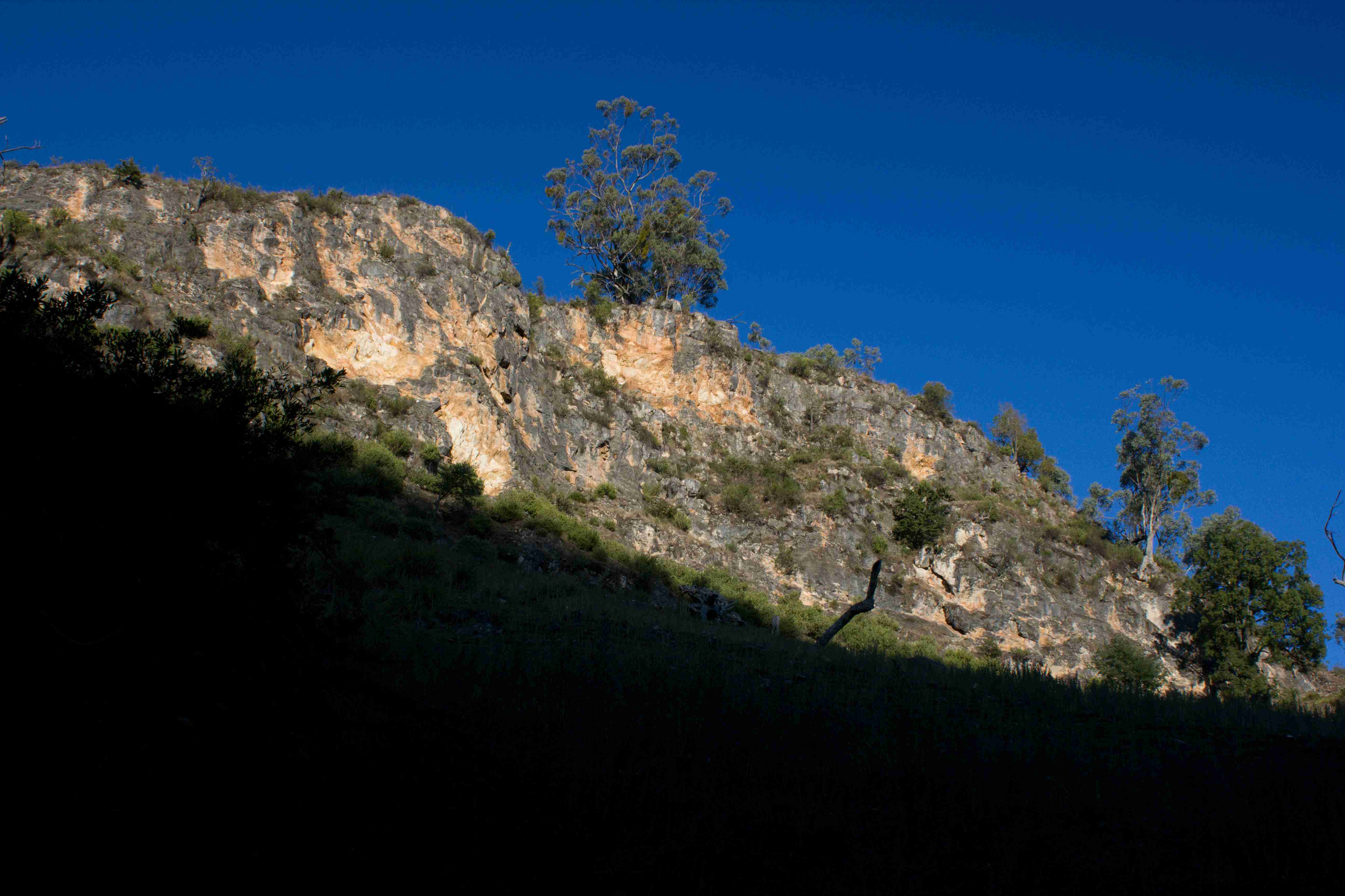 Abercrombie Karst Conservation Reserve