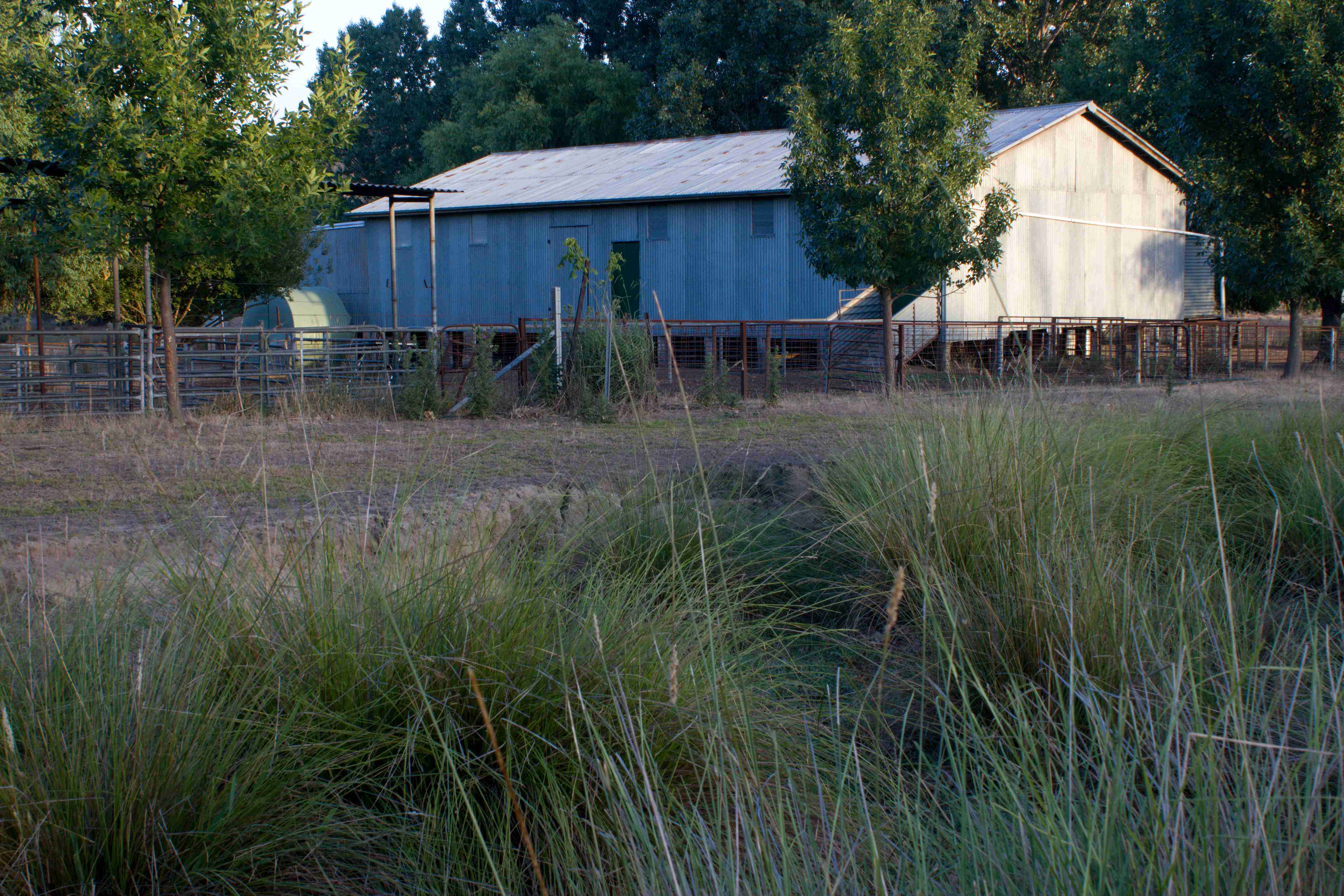 Gundungurra