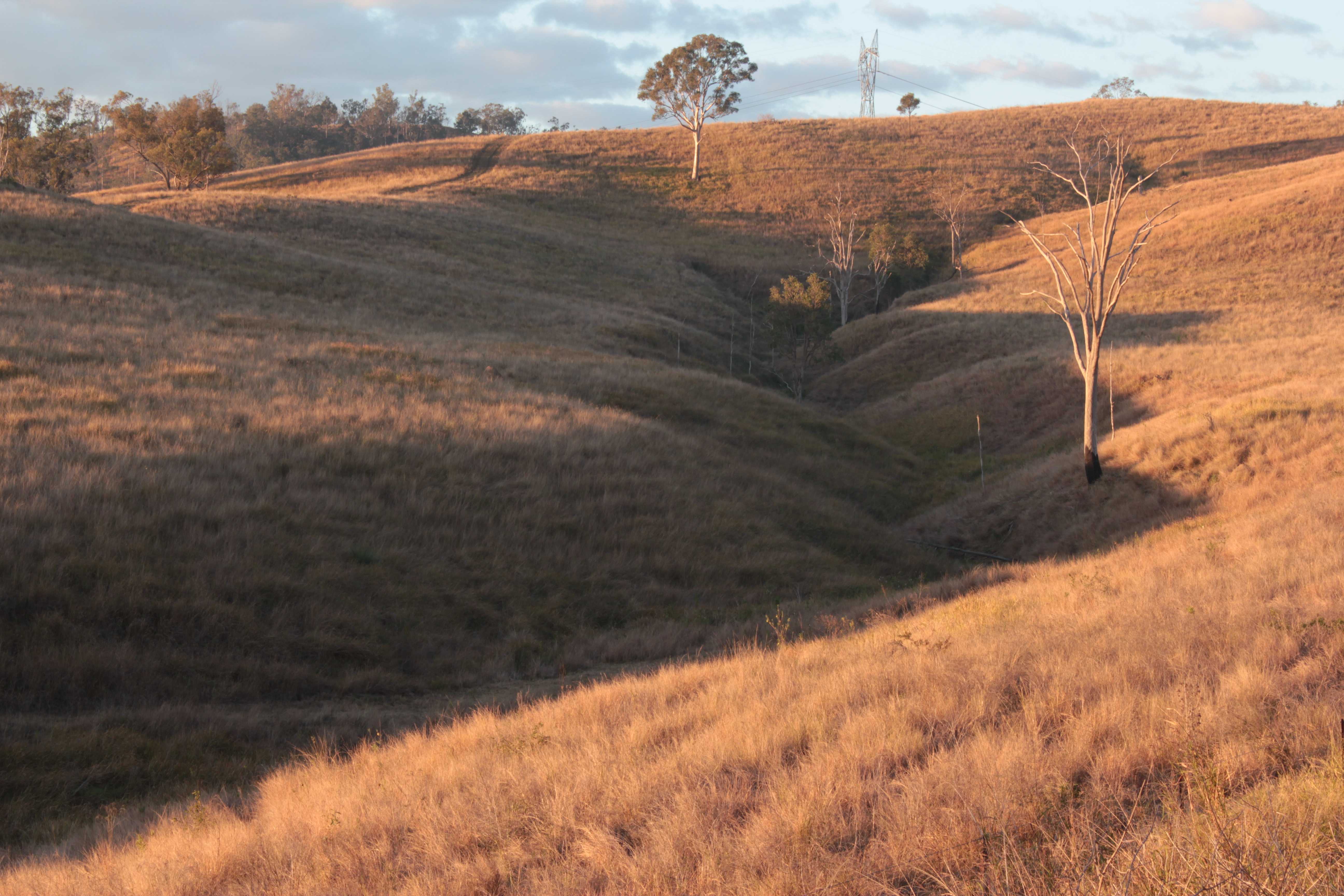 Neara Creek Tributary, Harlin